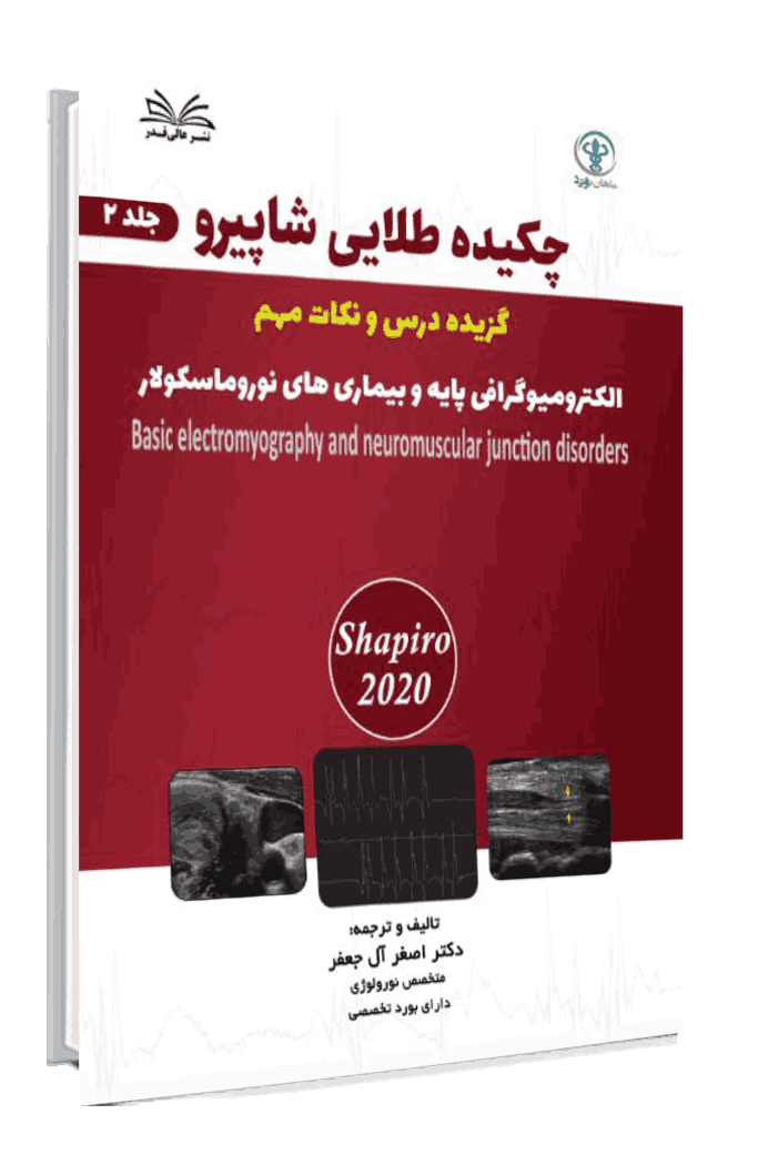 کتاب چکیده طلایی شاپیرو جلد 2