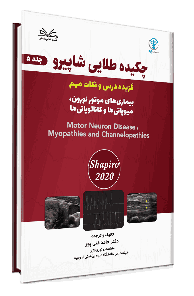 کتاب چکیده طلایی شاپیرو جلد 5